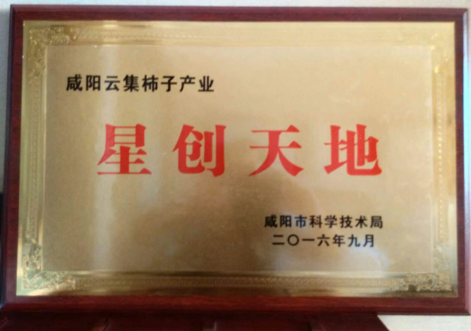 2016꣬ƼB(ti)@s@СǄ(chung)ءsuQ̖